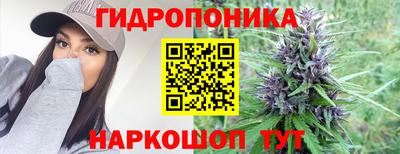 ПСИЛОЦИБИНОВЫЕ ГРИБЫ Кингисепп